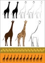 Pet giraffe Ã¢â¬â the tallest animal in Africa